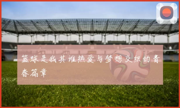 篮球是我其谁热爱与梦想交织的青春篇章